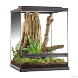 Exo Terra Frog Terrarium