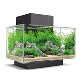 Fluval EDGE 2.0 23L Black Aquarium with LED and filter system