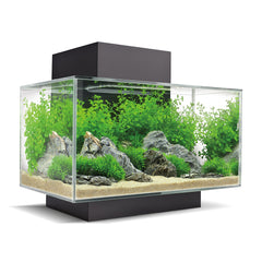 Fluval EDGE 2.0 23L Black Aquarium with LED and filter system