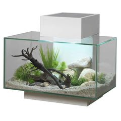 Fluval EDGE 2.0 23L White Aquarium with LED and filter system