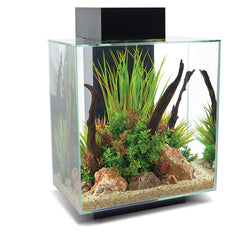 Fluval EDGE 2.0 46L Black Aquarium with LED and hidden filter