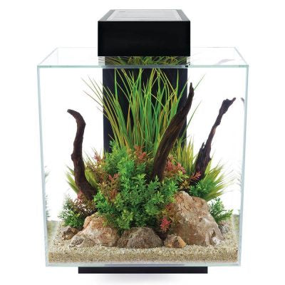 Fluval EDGE 2.0 Aquarium 46L - Black
