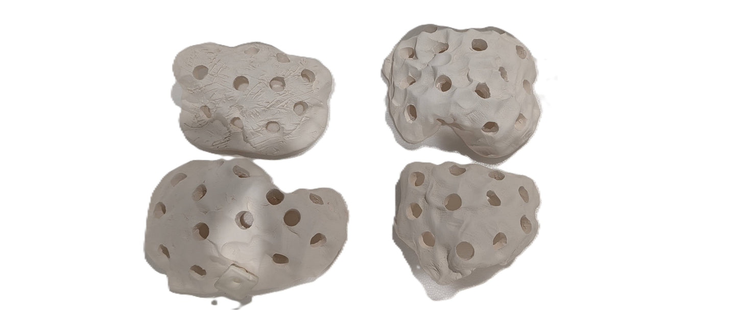 Frag Rock by Shane Danger Coleman