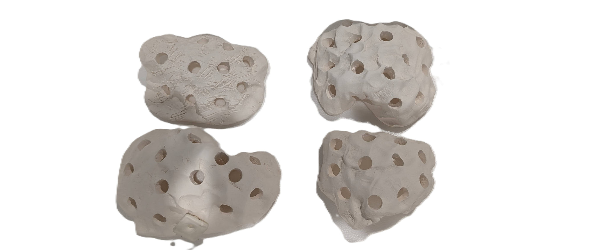 Frag Rock by Shane Danger Coleman