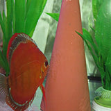 JBL DisCon Breeding Cone
