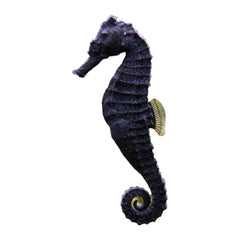 Seahorse Kuda (Hippocampus Kuda)