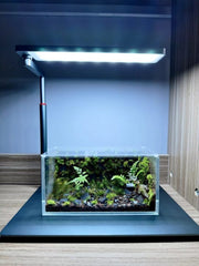 LEDSTAR AQ-N WRGB Nano Smart Light Base (Dark Grey)