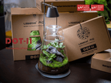 LEDSTAR DOT-II Terrarium Set (1)