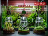 LEDSTAR DOT-II Terrarium Set (2)
