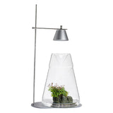 LEDSTAR DOT-II Terrarium Set with WRGB LED Light and Glass Bottle