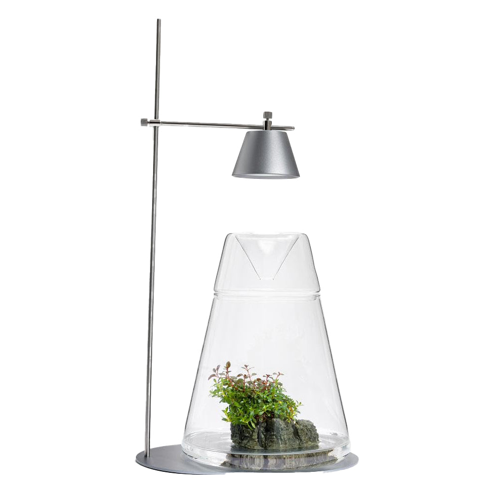 LEDSTAR DOT-II Terrarium Set with WRGB LED Light and Glass Bottle