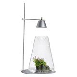 LEDSTAR DOT-II Terrarium Set with WRGB LED Light and Glass Bottle