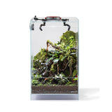 Ledstar Infinity Hylaea AQ-F30 Display Terrarium
