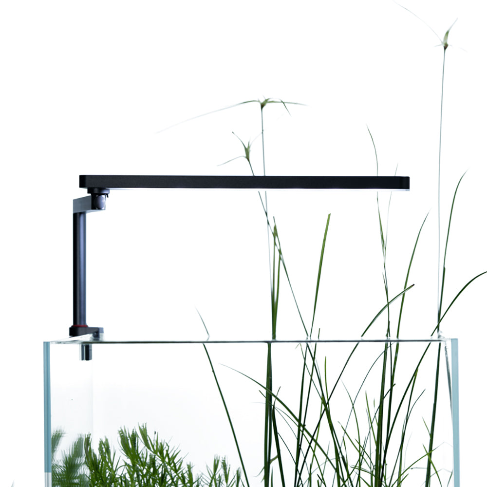 LEDSTAR WRGB Nano Smart Light