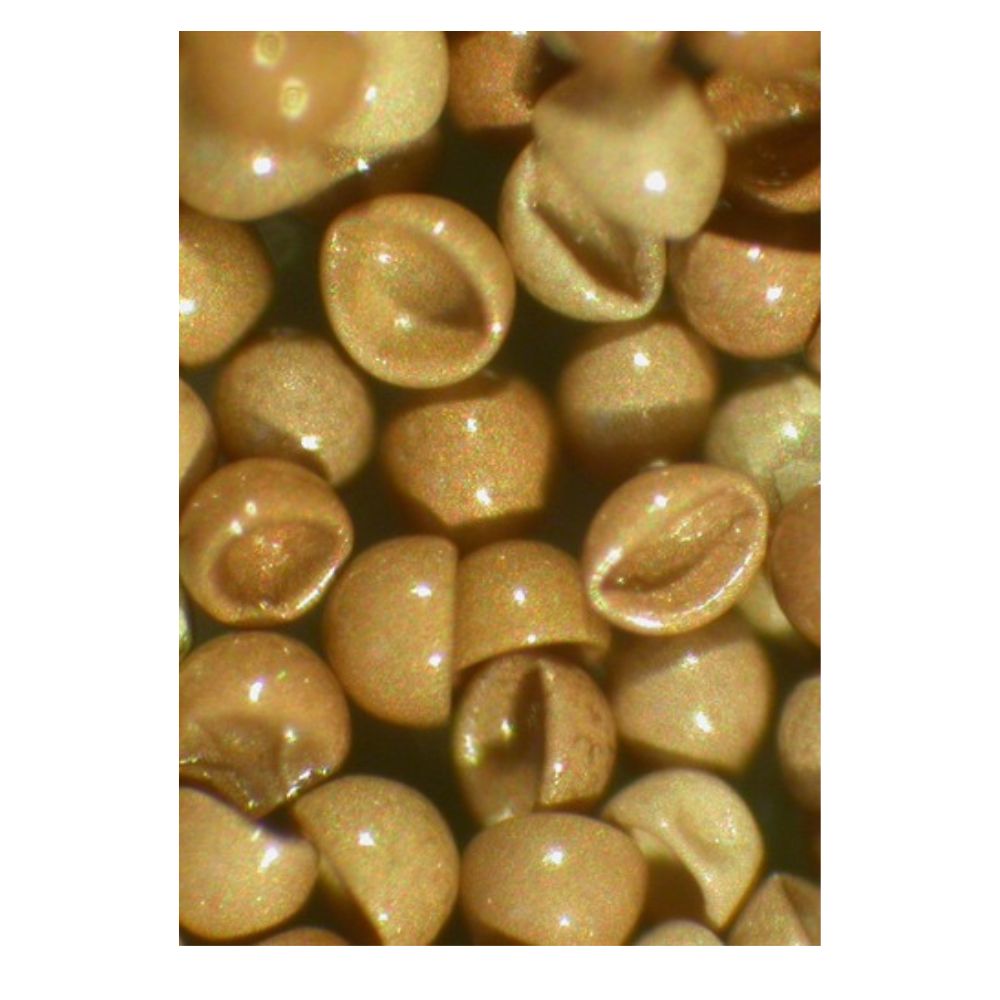 Ocean Nutrition Brine Shrimp Pre Mix 50g Detail