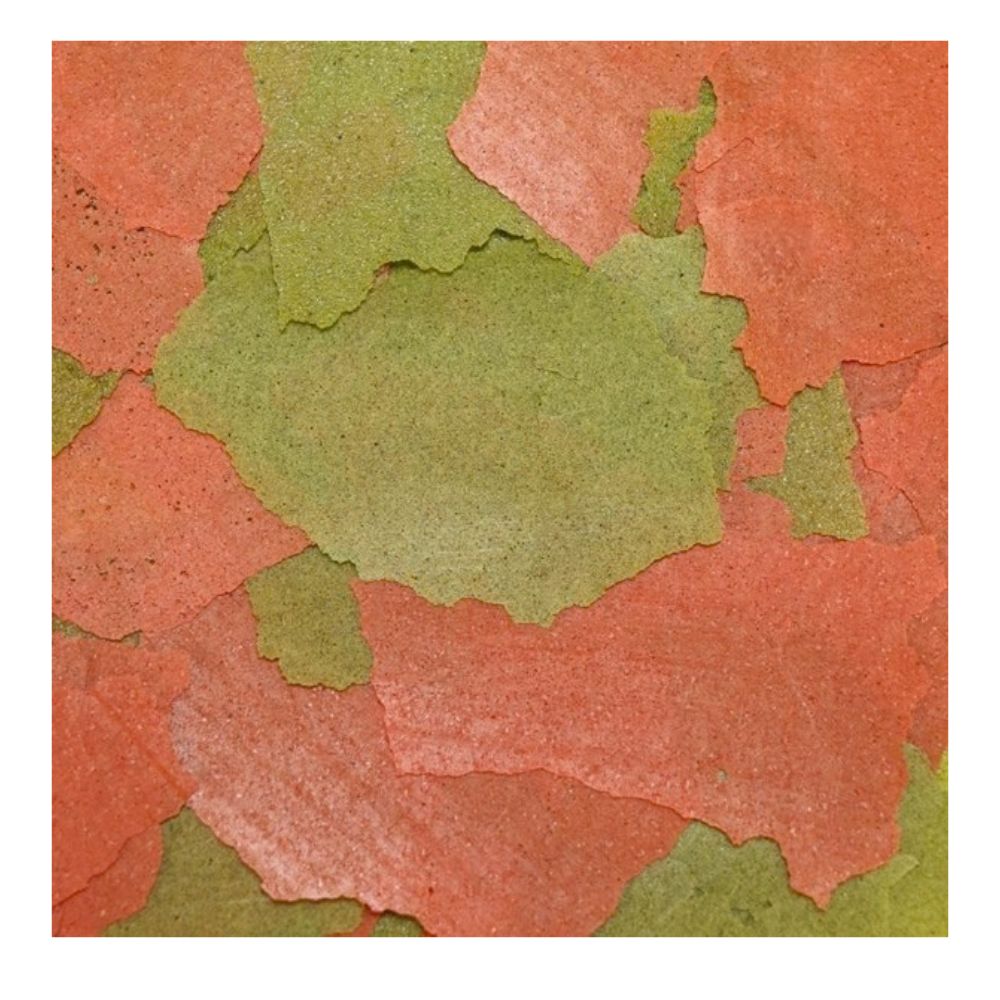 Ocean Nutrition Discus Flakes 34g