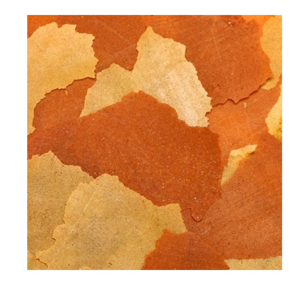 Ocean Nutrition Goldfish Flakes 34g Detail