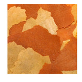 Ocean Nutrition Goldfish Flakes 70g