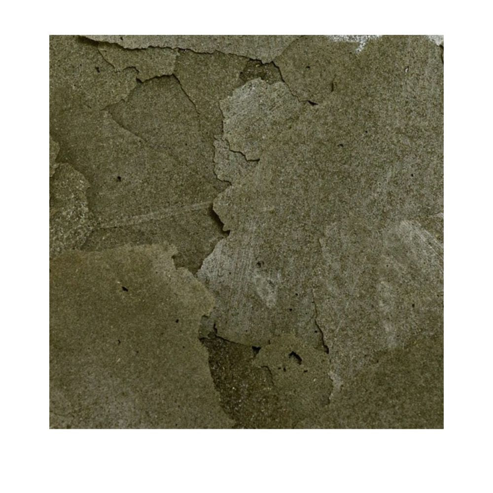 Close-up of rich green Ocean Nutrition Spirulina Flakes
