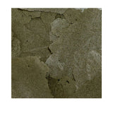 Close-up of rich green Ocean Nutrition Spirulina Flakes