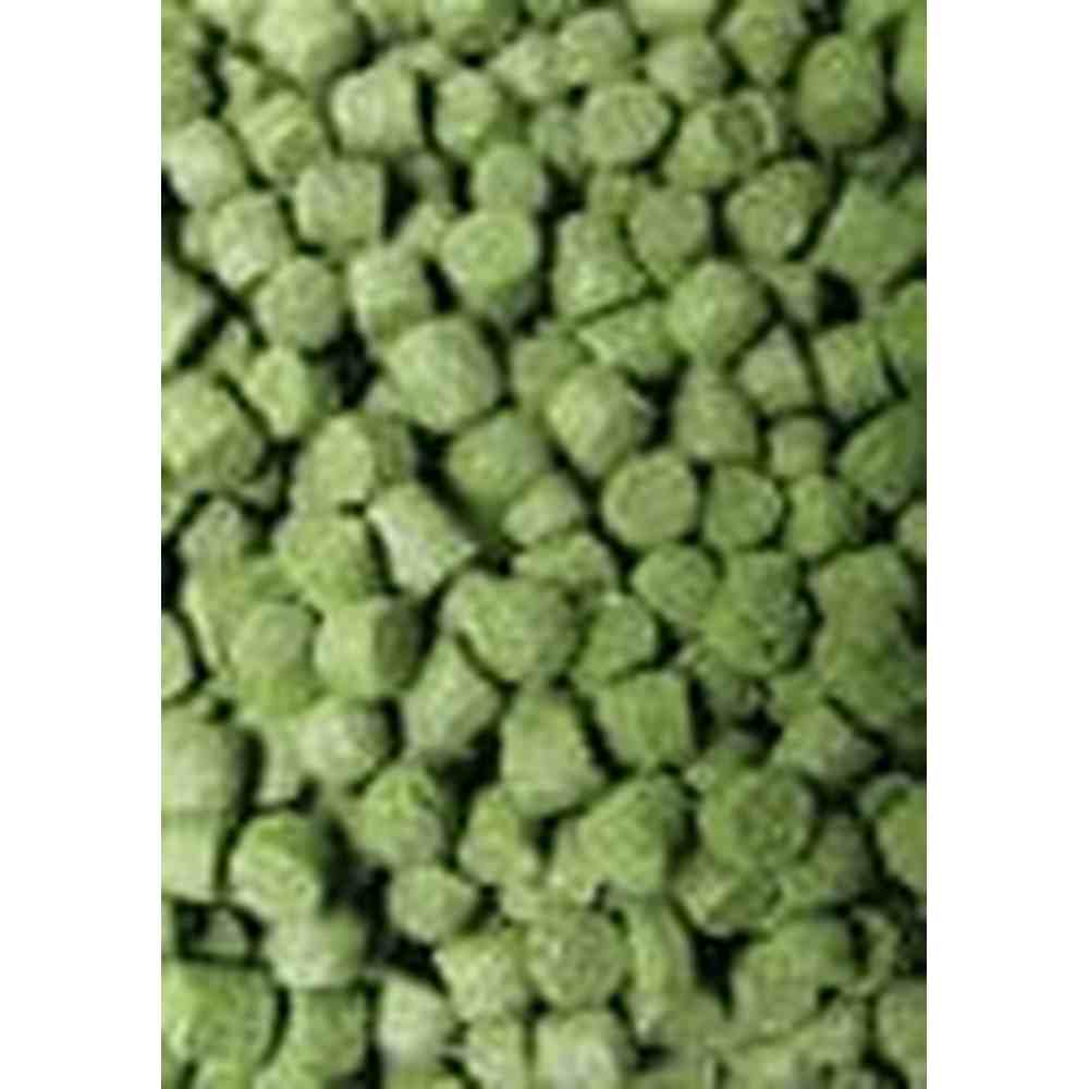 Ocean Nutrition Formula Two Marine Pellet Medium (1)