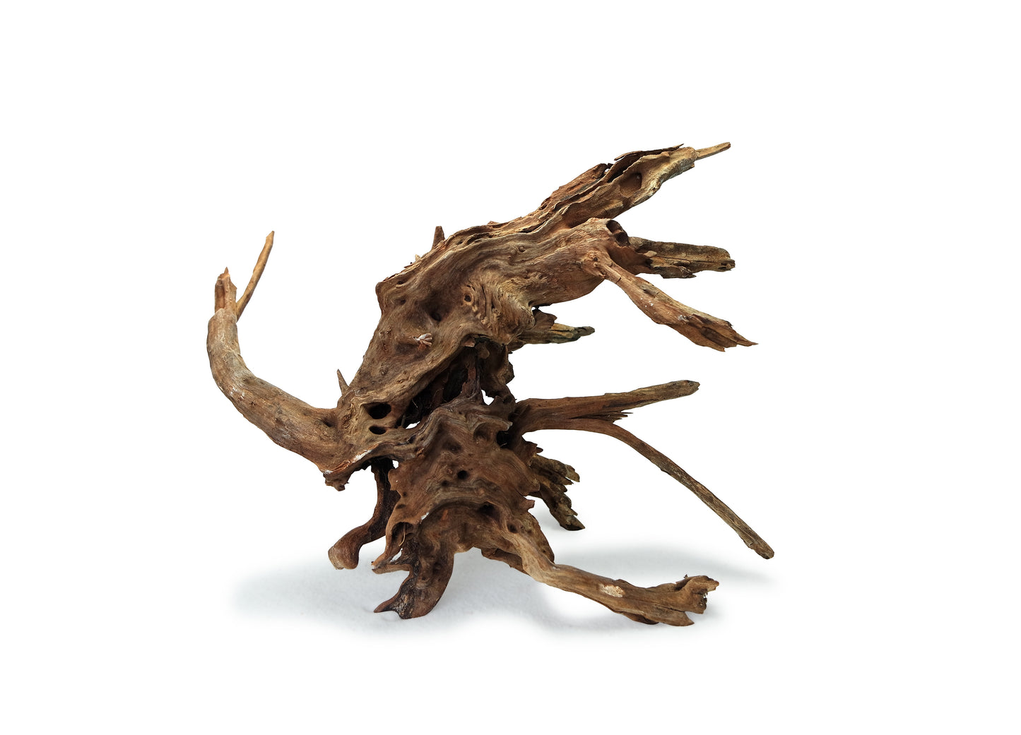 Wyld Pacific Wood L