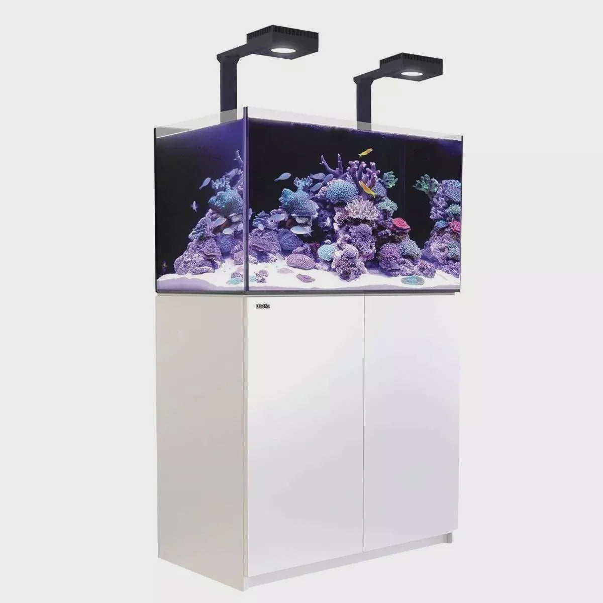 Red Sea Reefer G2+ 250 MAX (90x50x53cm) - White