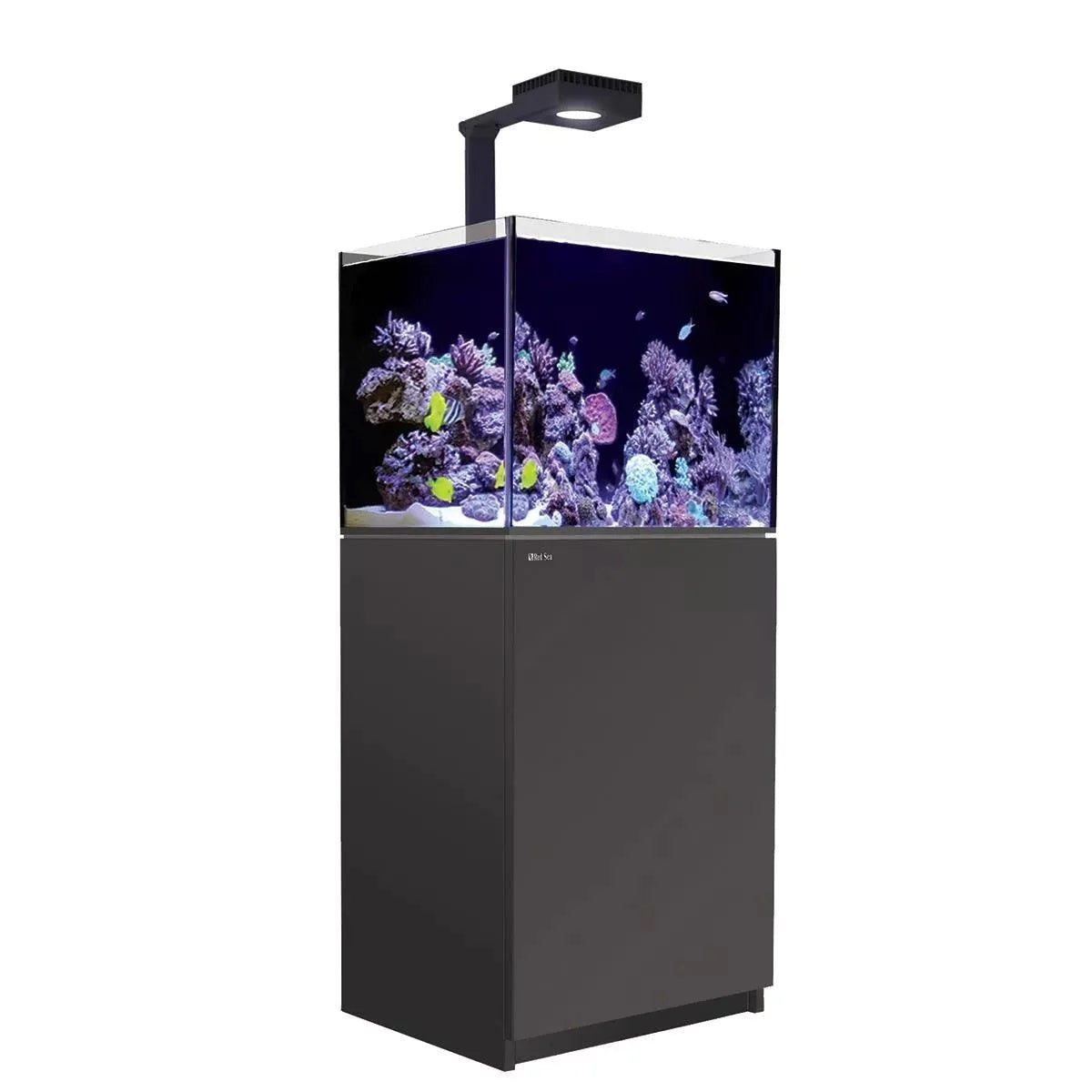 Red Sea Reefer G2+ 170 MAX (60x50x51cm) - Black