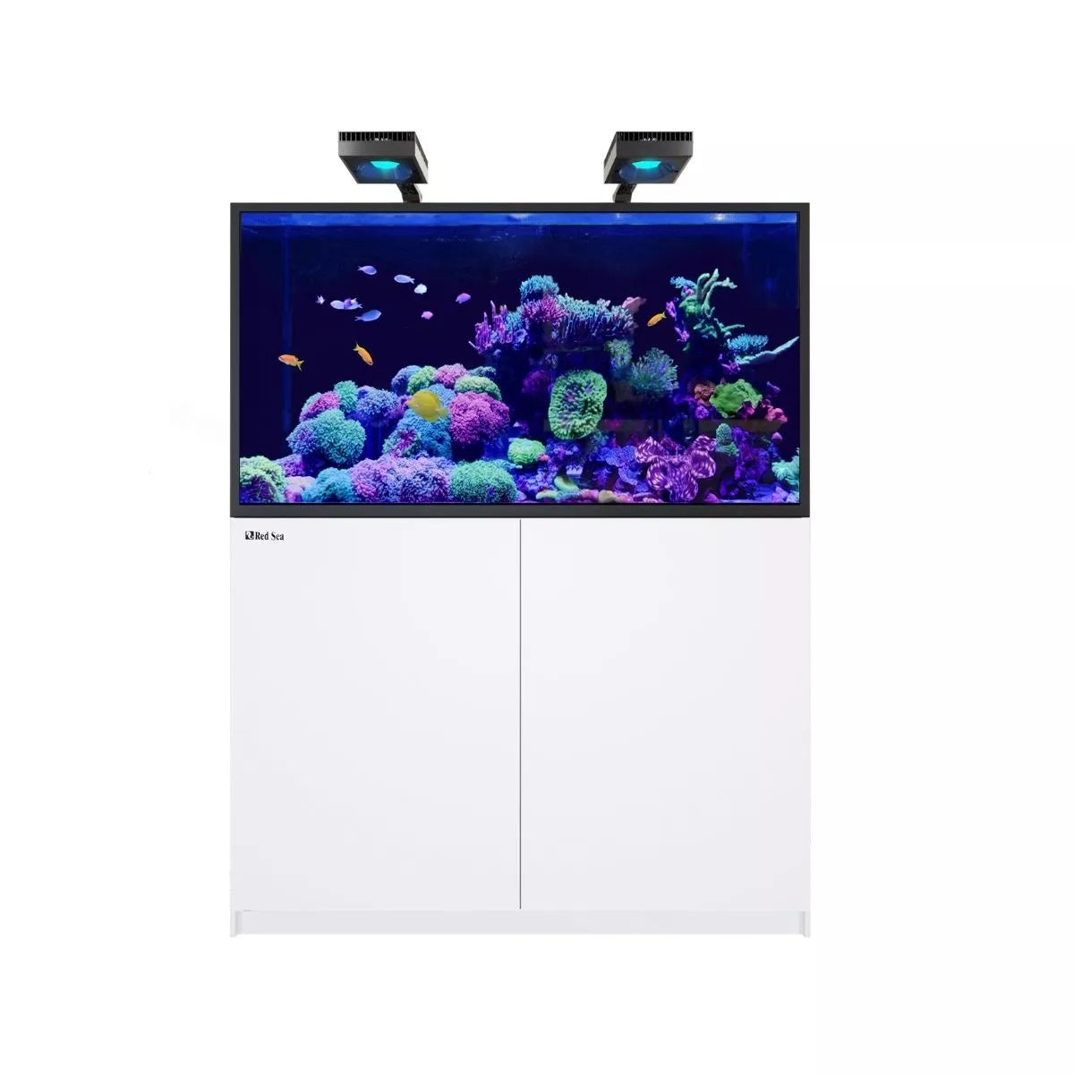 Red Sea Reefer S G2+ 550 (120x68x65cm) - White