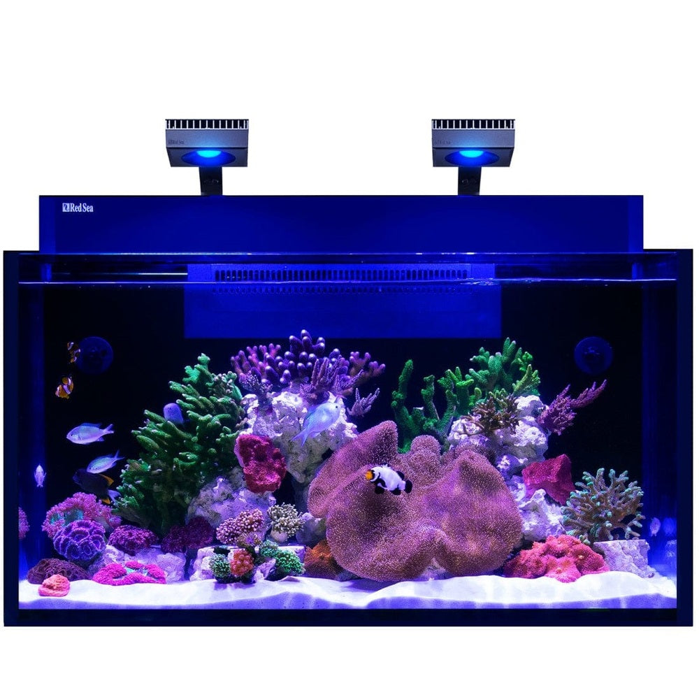 Red Sea Max Nano G2 XXL