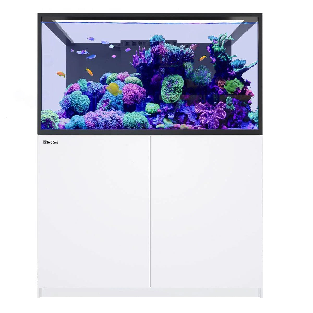 Red Sea REEFER G3 Aquarium System S-550
