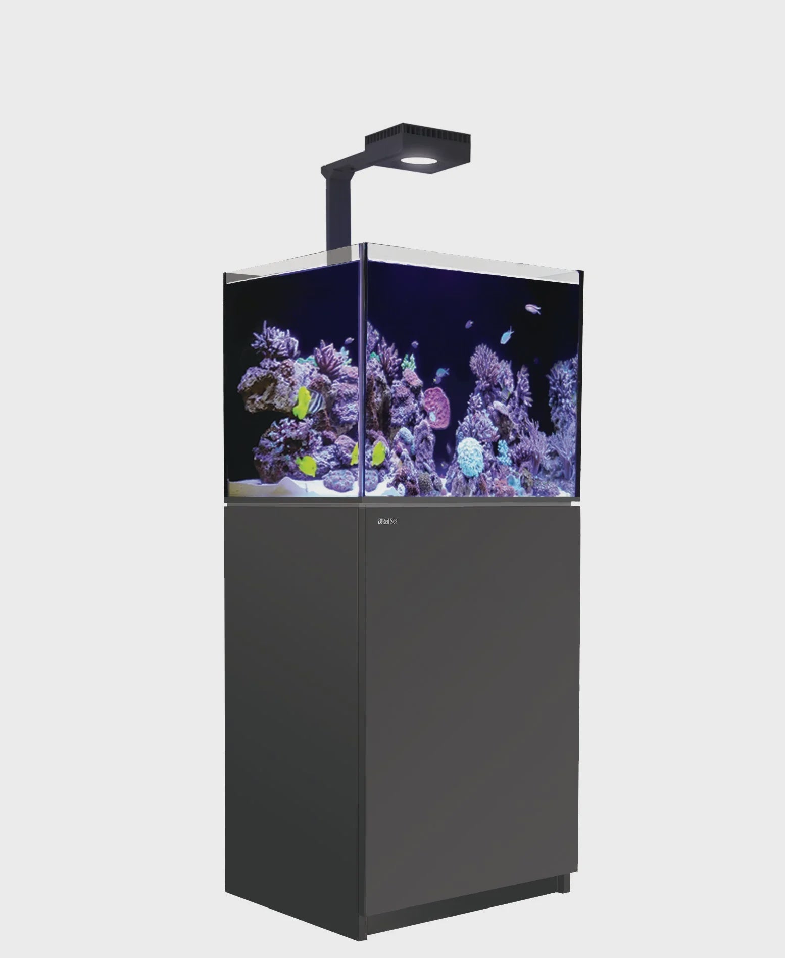 Red Sea Reefer G2+ 170 DELUXE (60x50x51cm) - Black