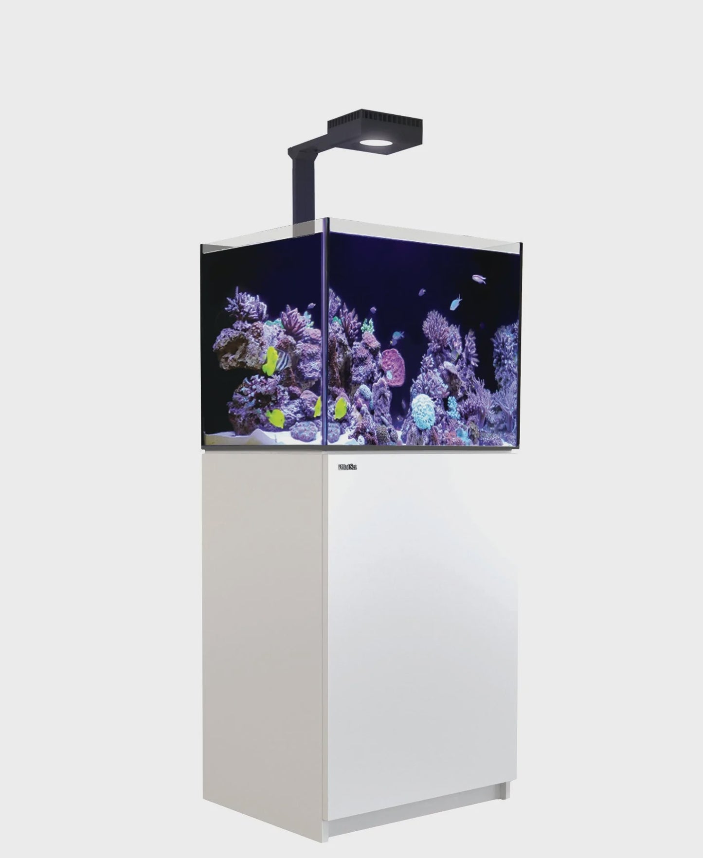 Red Sea Reefer G2+ 170 DELUXE (60x50x51cm) - White