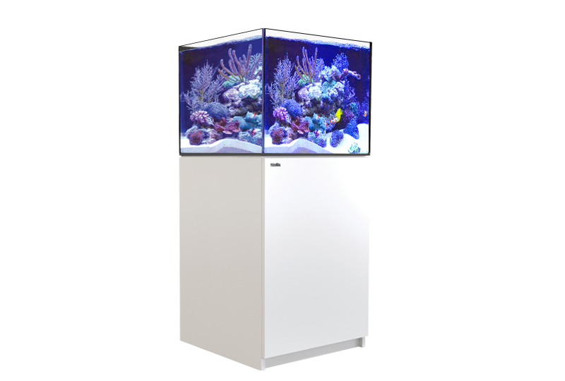 Red Sea Reefer G2+ 200 (60x57.5x53cm) - White