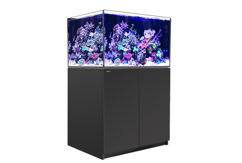 Red Sea Reefer G2+ 300 (90x57.5x55cm) - Black
