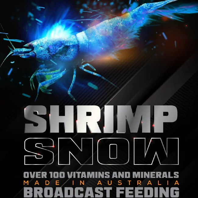 SAS Shrimp  Snow 25g - Food for Broadcasting