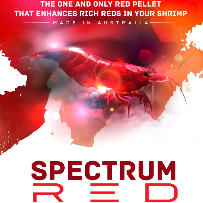 SAS Spectrum Red 30g - Food to Enhance Red Shrimp Color