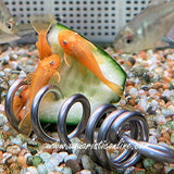 Aquarium cucumber feeder screw for plecos