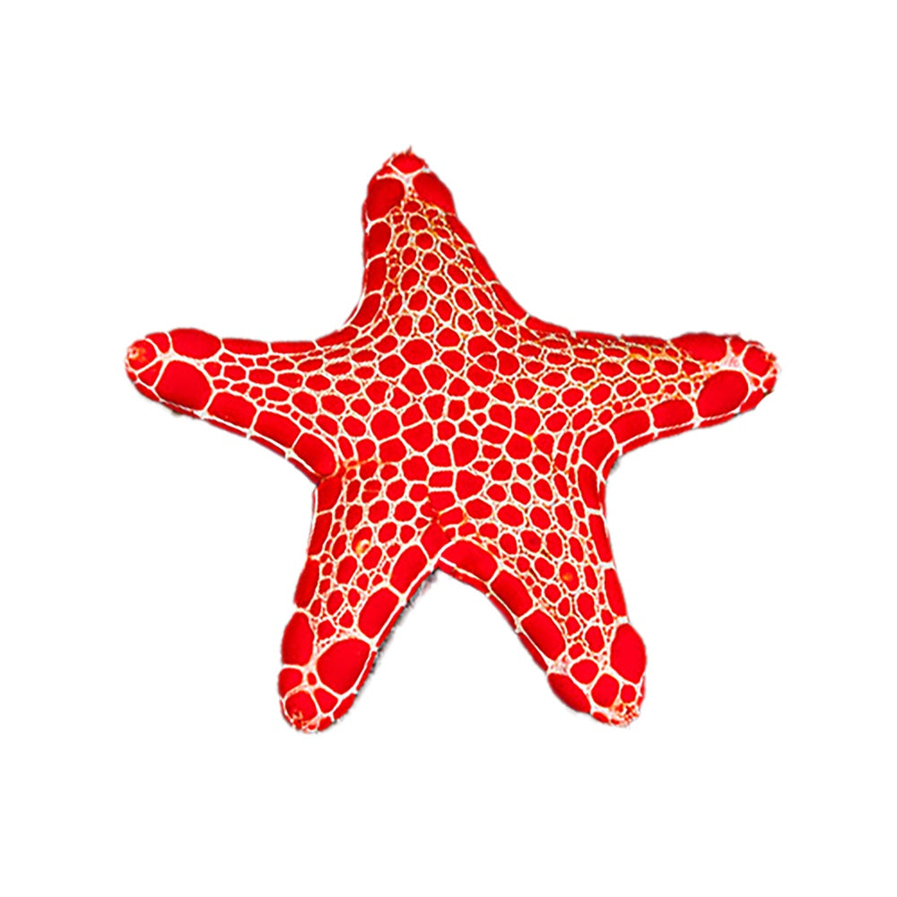 Starfish Biscuits (Tosia Australis)