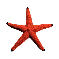 Starfish Red Indica (Fromia Indica)