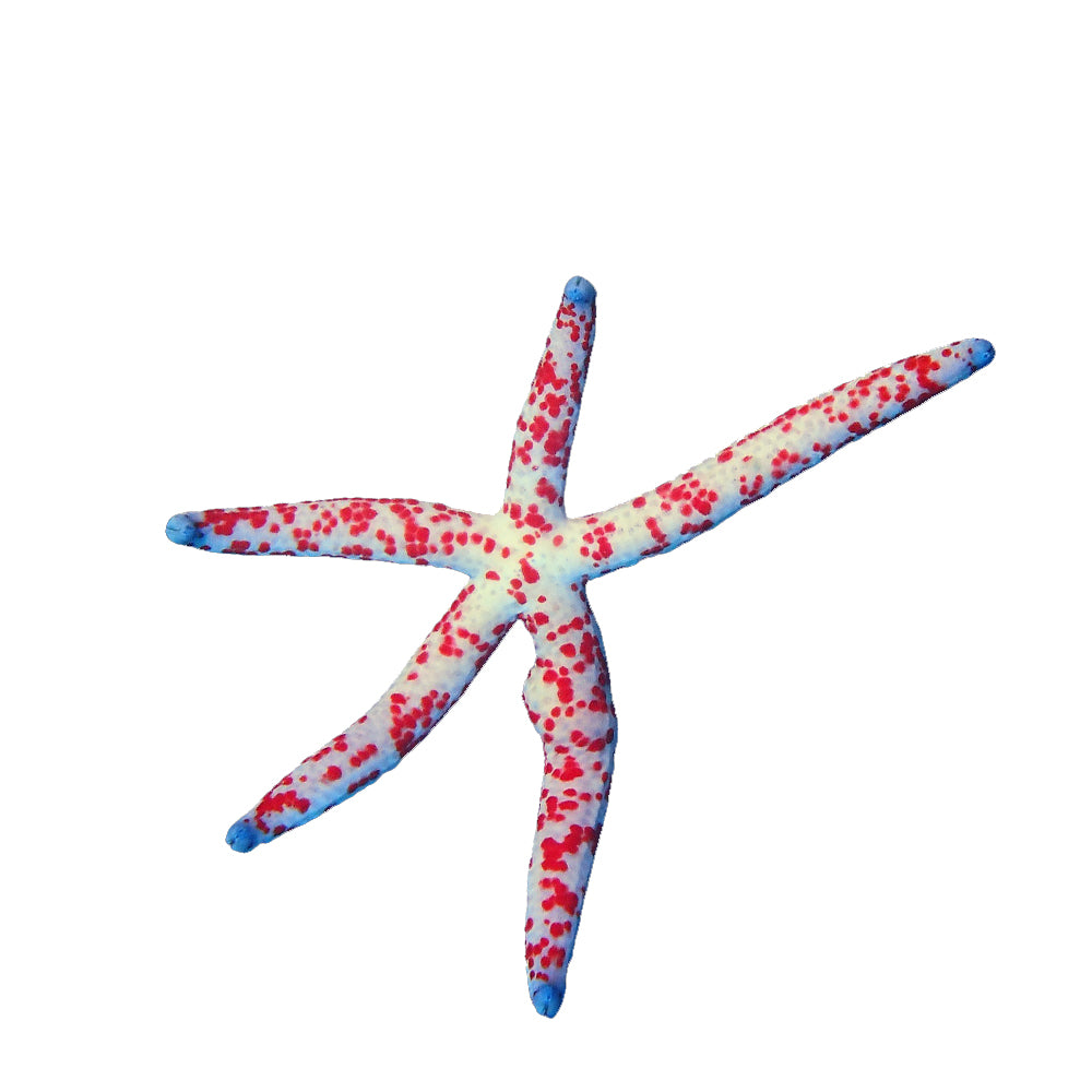 Starfish Multicolored (Linckia Multiflora)