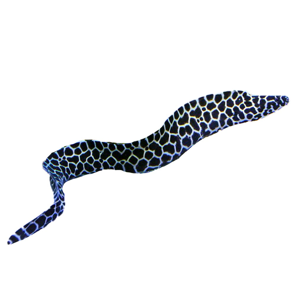 Tessalata Eel (Gymnothorax favagineus)