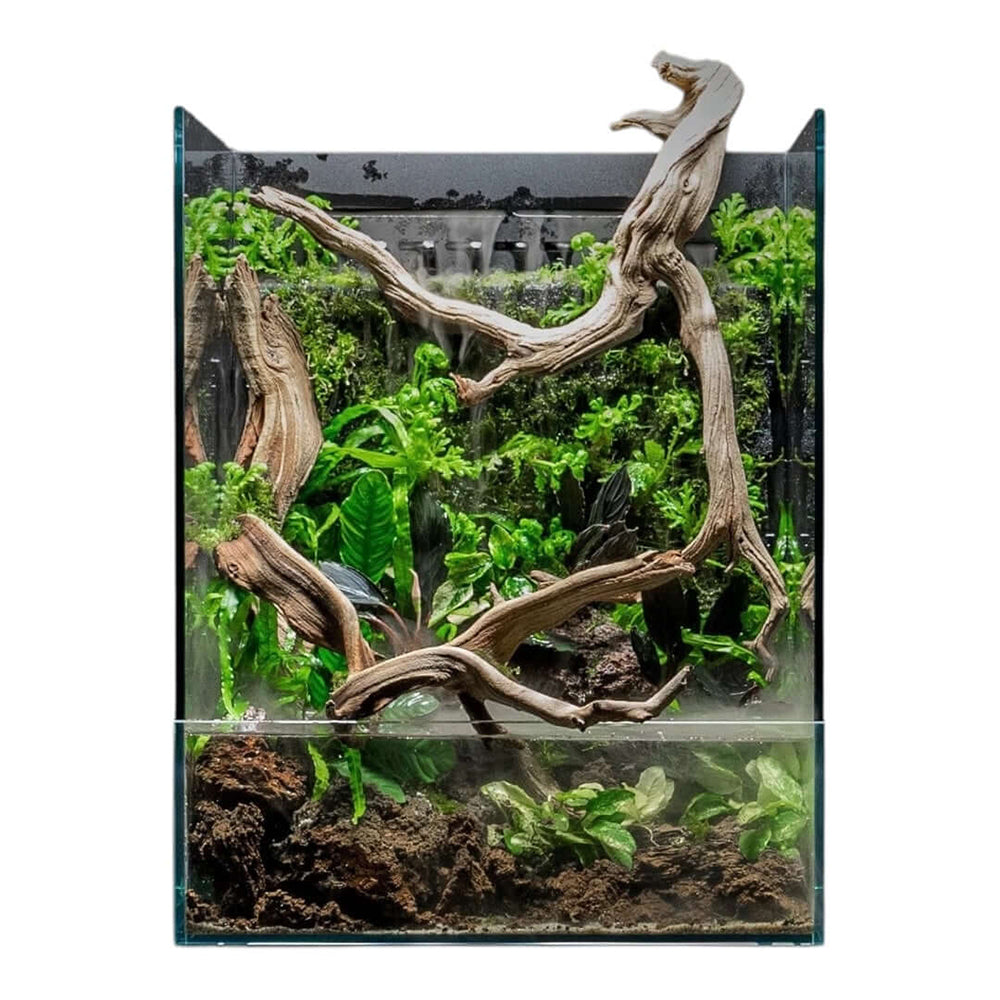 Integrated paludarium system with pump, atomizer and filtration