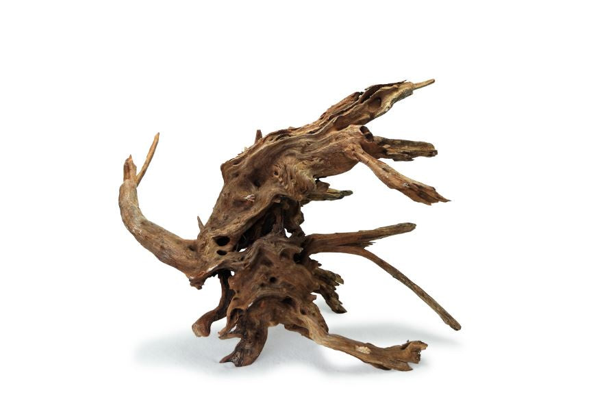 Wyld Pacific Wood M - Per Piece