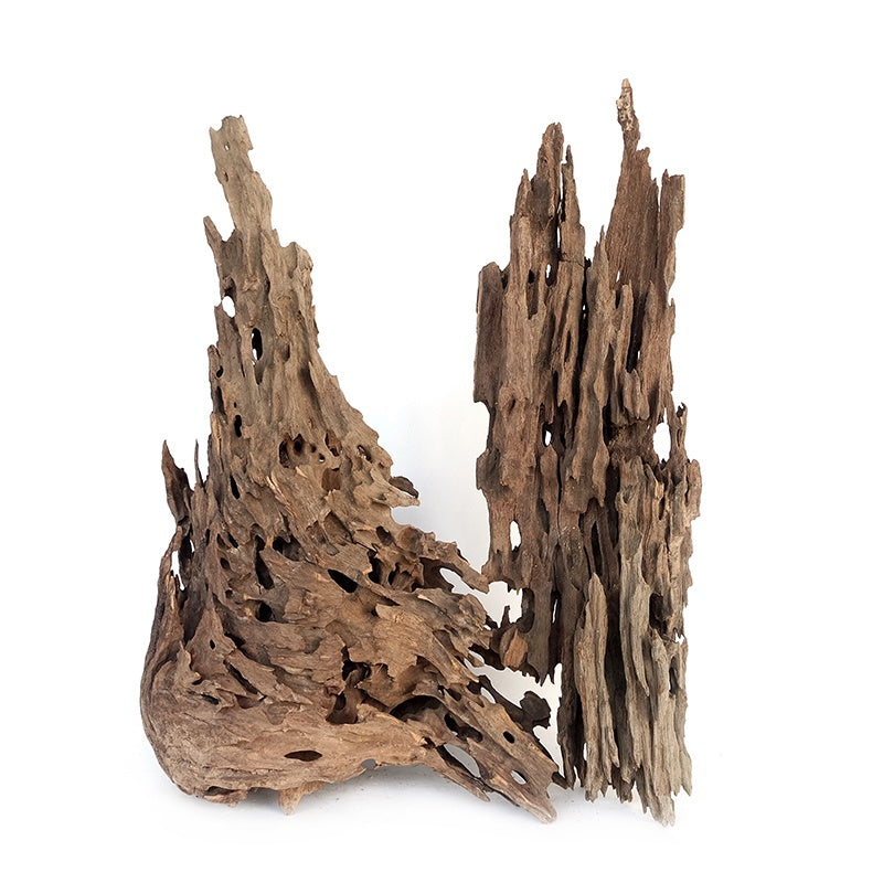 Wyld Dragon Wood S