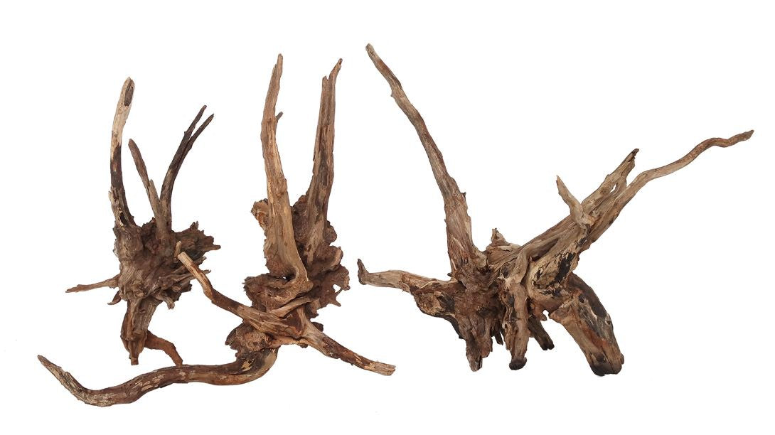 Wyld Slim Wood M