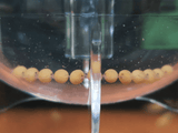 Ziss Egg Tumbler Fish Eggs