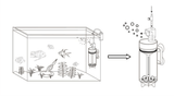 Ziss Egg Tumbler Tank Placement