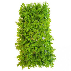 Aqua One Ecoscape Abiete Tolli Mat Green – realistic aquarium plant ornament