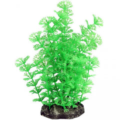 Aqua One Ecoscape Medium Planter Ambulia Green – potted aquarium plant 28380
